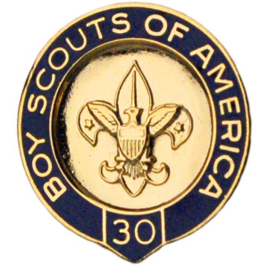 BSA Veteran Scouter Pin - 30 Years