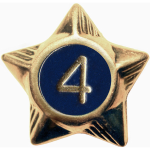 Service Star - 4 Years