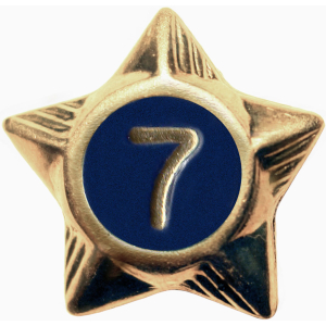 Service Star - 7 Years