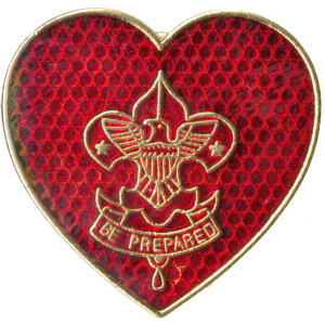 Scouts BSA Life Rank Pin