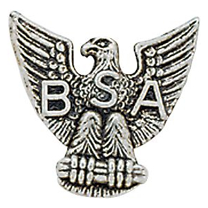 Eagle Scout Rank Pin